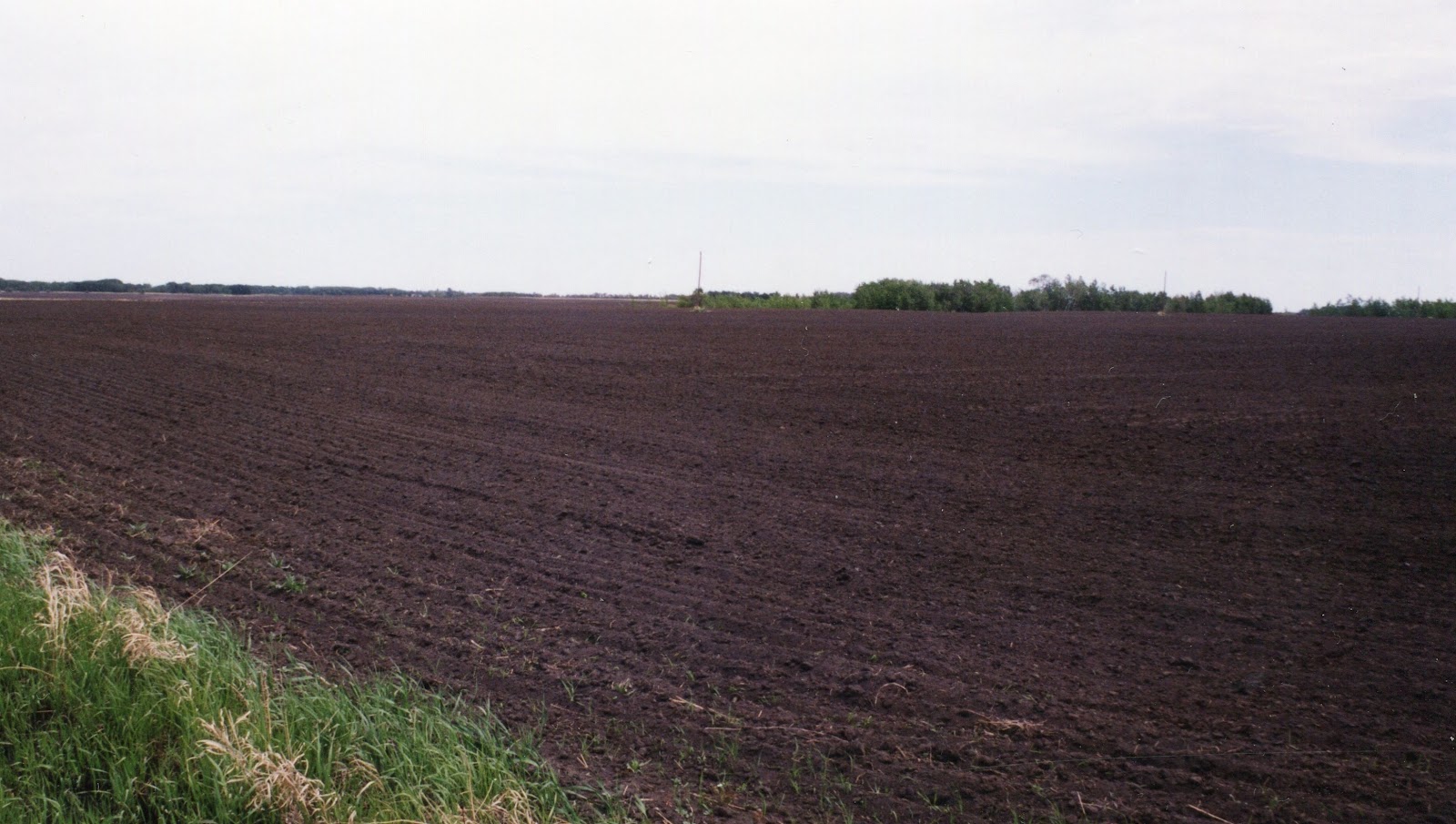 Our Farm Story