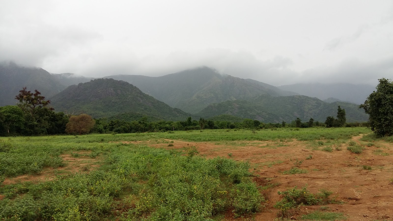 Agricultural Work on Land