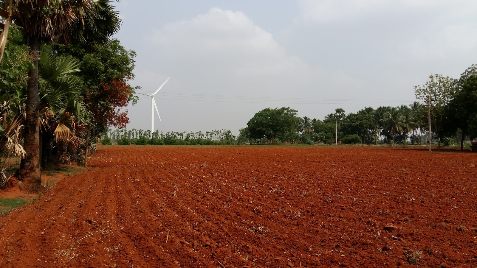 Agricultural Land Conversion