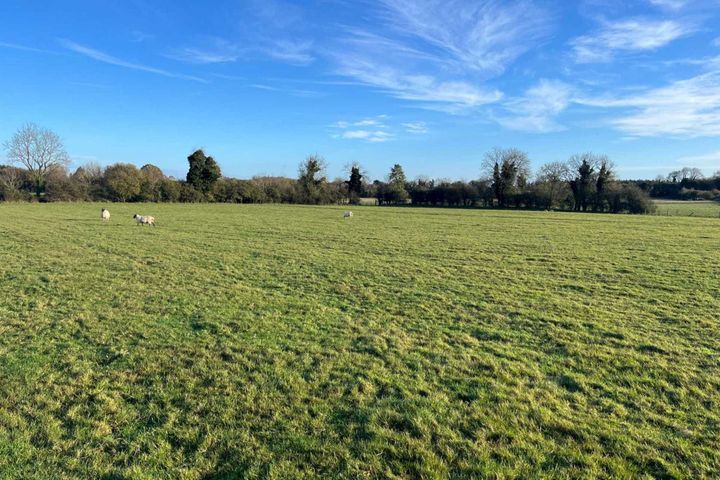 Agri Land Maintenance